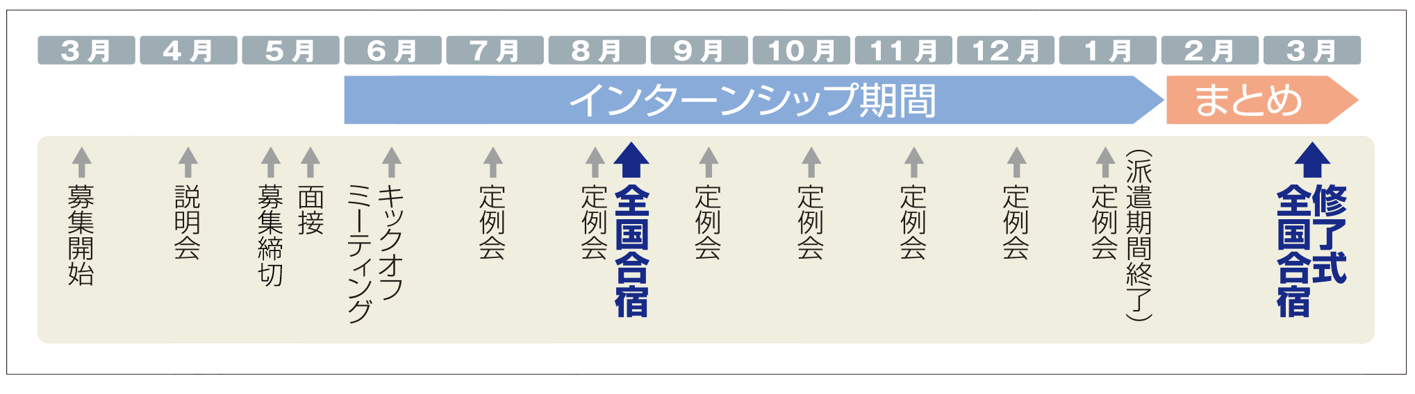 年間スケジュール
