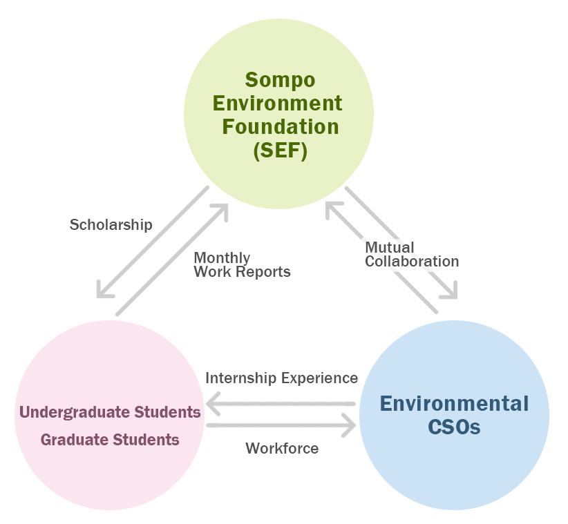 How the program works